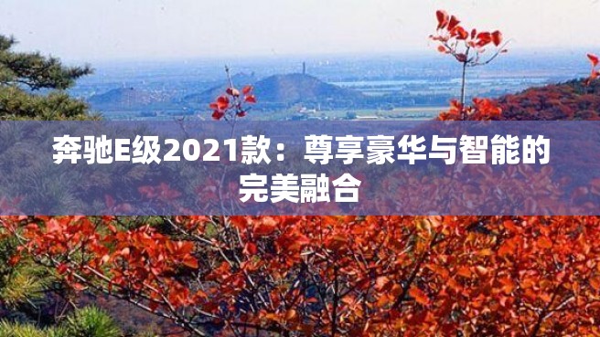 奔驰E级2021款：尊享豪华与智能的完美融合