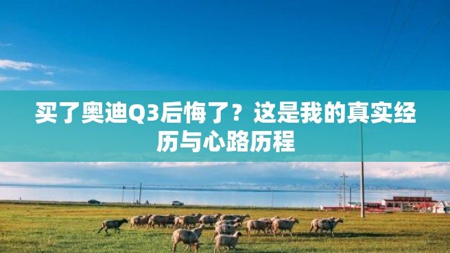 买了奥迪Q3后悔了？这是我的真实经历与心路历程