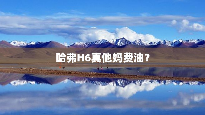 哈弗H6真他妈费油？