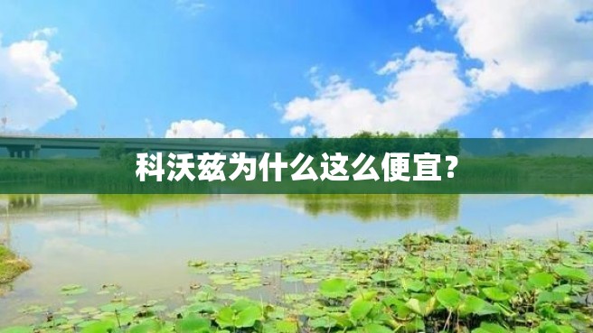 科沃兹为什么这么便宜？