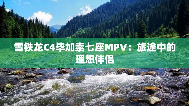 雪铁龙C4毕加索七座MPV：旅途中的理想伴侣