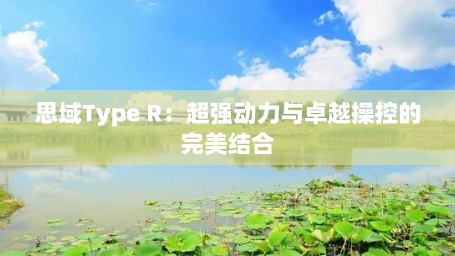 思域Type R：超强动力与卓越操控的完美结合