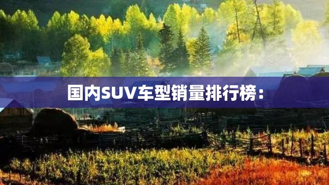 国内SUV车型销量排行榜：