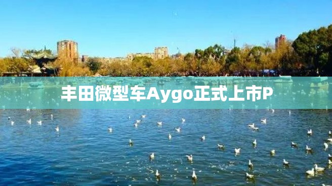 丰田微型车Aygo正式上市P