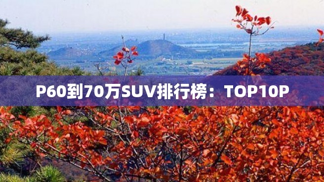 P60到70万SUV排行榜：TOP10P