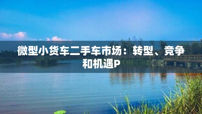 微型小货车二手车市场：转型、竞争和机遇P