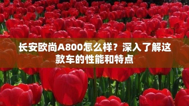 长安欧尚A800怎么样？深入了解这款车的性能和特点