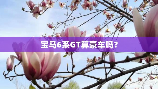 宝马6系GT算豪车吗？