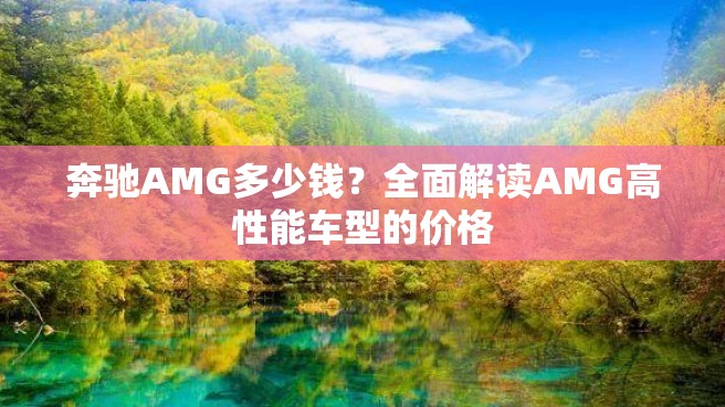 奔驰AMG多少钱？全面解读AMG高性能车型的价格