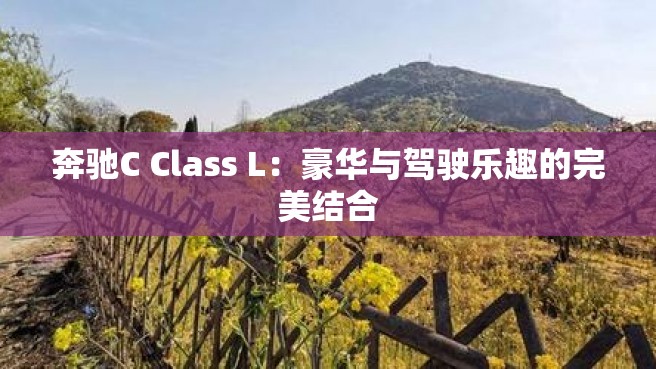 奔驰C Class L：豪华与驾驶乐趣的完美结合