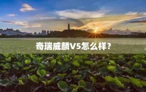 奇瑞威麟V5怎么样？