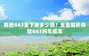 奔驰G63全下来多少钱？全面解析奔驰G63购车成本