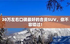 20万左右口碑最好的合资SUV，你不容错过！