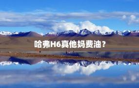 哈弗H6真他妈费油？