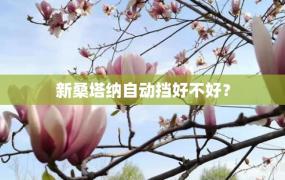 新桑塔纳自动挡好不好？