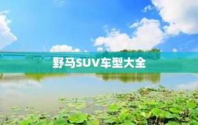 野马SUV车型大全