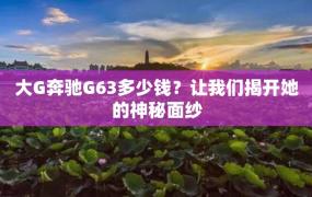 大G奔驰G63多少钱？让我们揭开她的神秘面纱