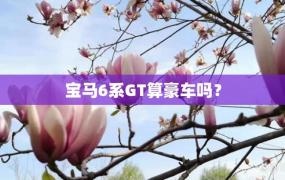 宝马6系GT算豪车吗？