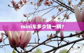 mini车多少钱一辆？