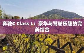 奔驰C Class L：豪华与驾驶乐趣的完美结合