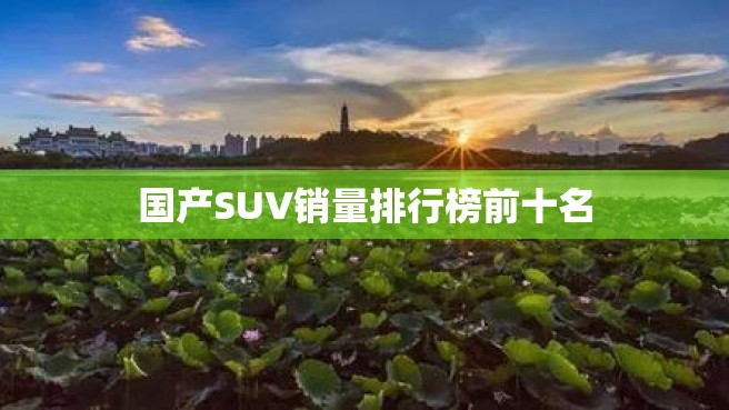 国产SUV销量排行榜前十名