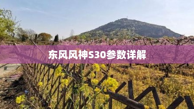 东风风神S30参数详解