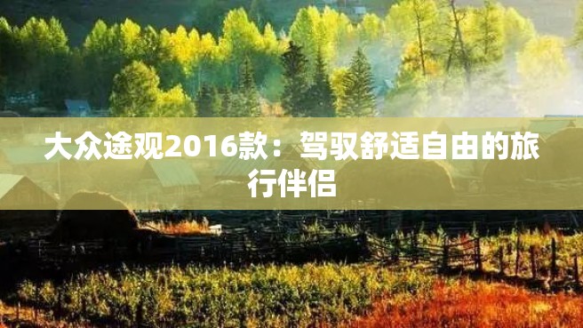 大众途观2016款：驾驭舒适自由的旅行伴侣