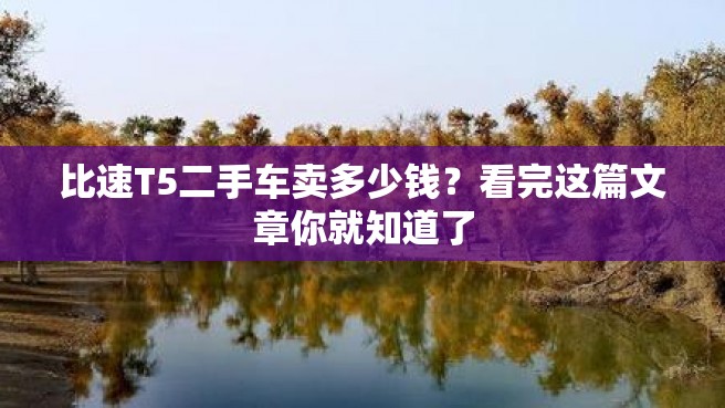 比速T5二手车卖多少钱？看完这篇文章你就知道了