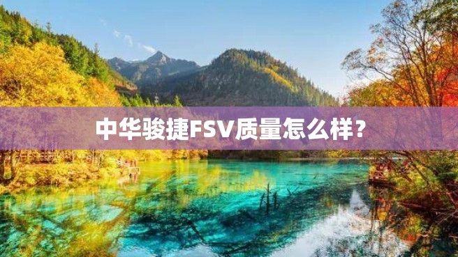 中华骏捷FSV质量怎么样？