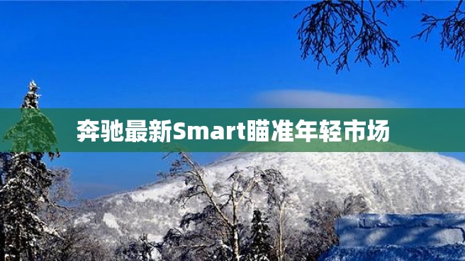 奔驰最新Smart瞄准年轻市场