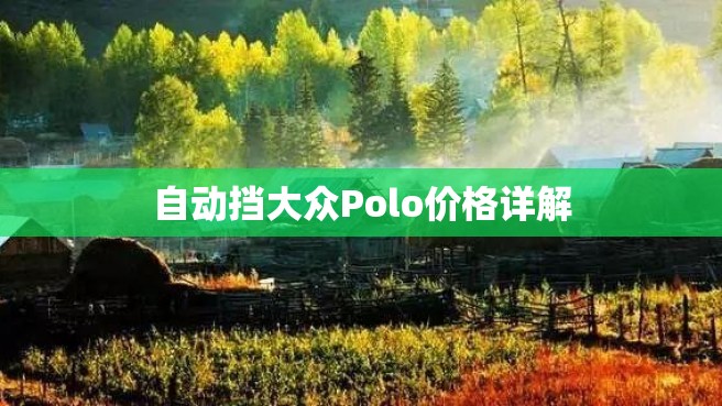 自动挡大众Polo价格详解