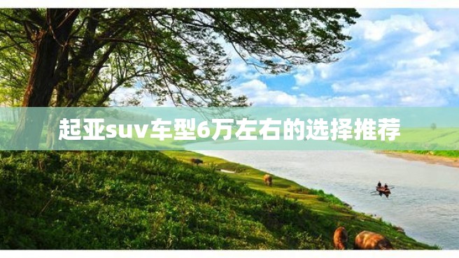 起亚suv车型6万左右的选择推荐