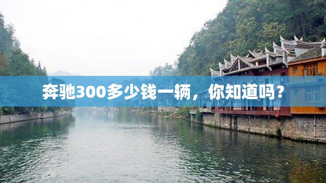 奔驰300多少钱一辆，你知道吗？