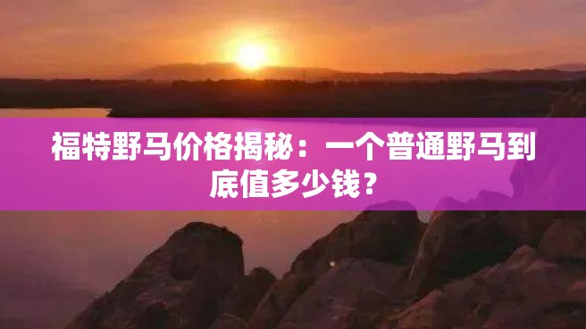 福特野马价格揭秘：一个普通野马到底值多少钱？