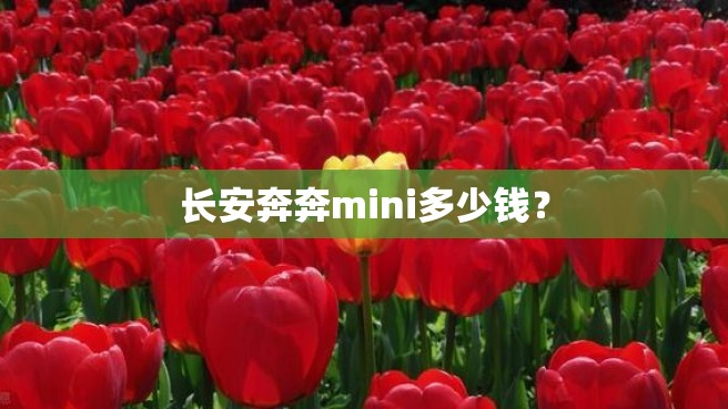 长安奔奔mini多少钱？