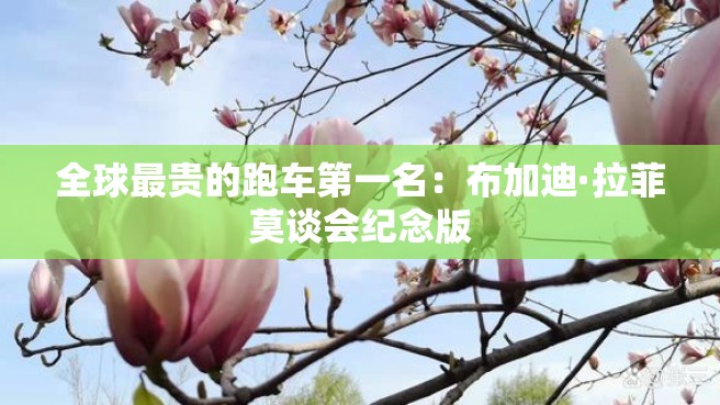 全球最贵的跑车第一名：布加迪·拉菲莫谈会纪念版