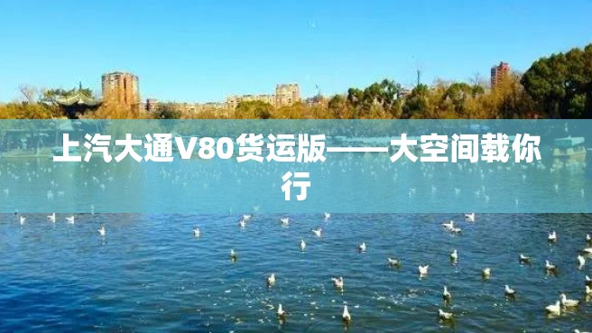 上汽大通V80货运版——大空间载你行