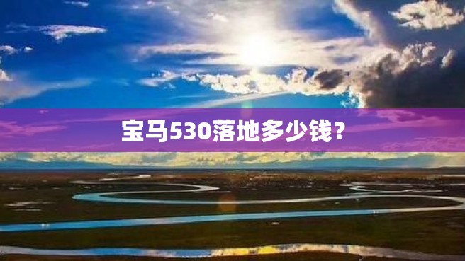 宝马530落地多少钱？