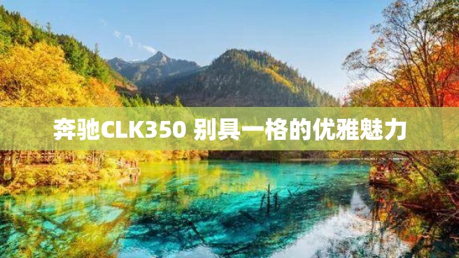 奔驰CLK350 别具一格的优雅魅力