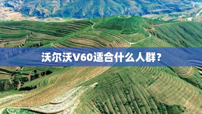 沃尔沃V60适合什么人群？