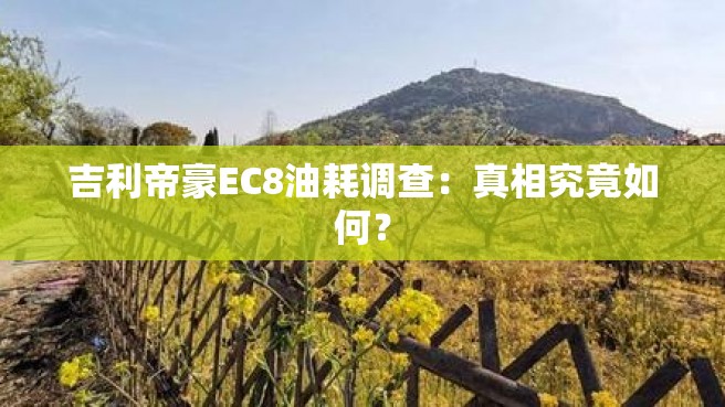 吉利帝豪EC8油耗调查：真相究竟如何？