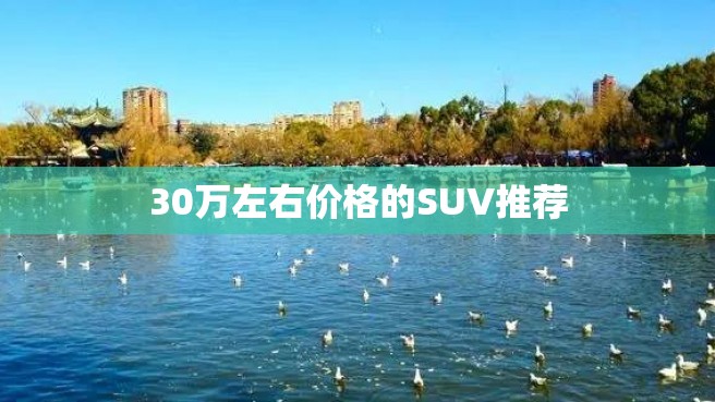 30万左右价格的SUV推荐