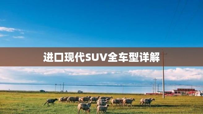 进口现代SUV全车型详解