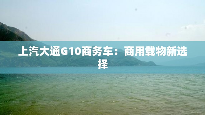 上汽大通G10商务车：商用载物新选择