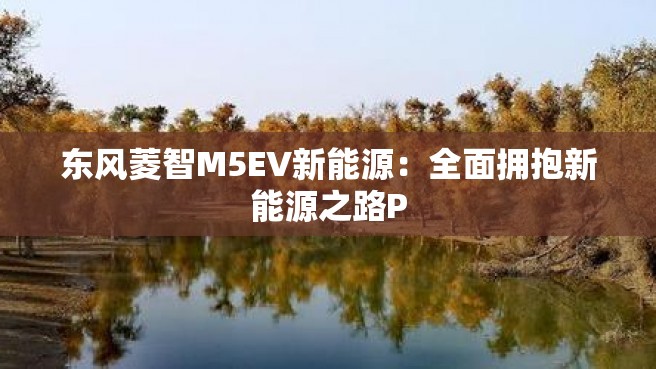 东风菱智M5EV新能源：全面拥抱新能源之路P