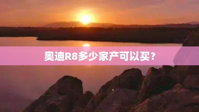 奥迪R8多少家产可以买？