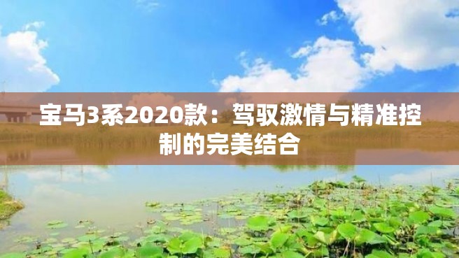 宝马3系2020款：驾驭激情与精准控制的完美结合