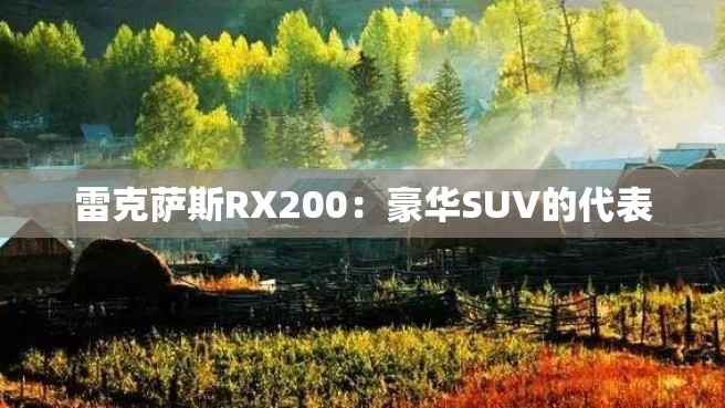 雷克萨斯RX200：豪华SUV的代表