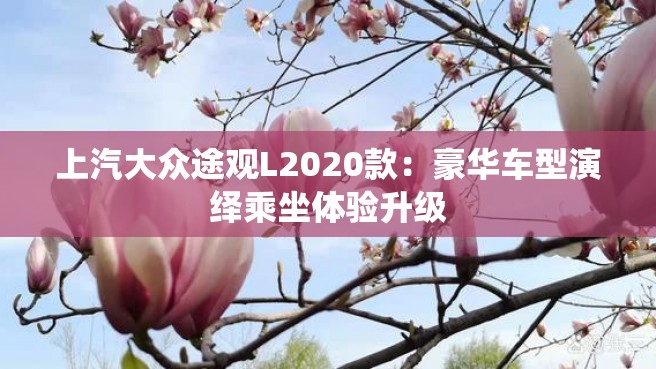 上汽大众途观L2020款：豪华车型演绎乘坐体验升级