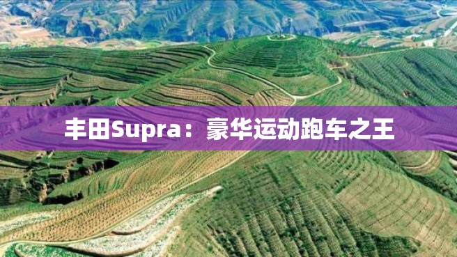 丰田Supra：豪华运动跑车之王